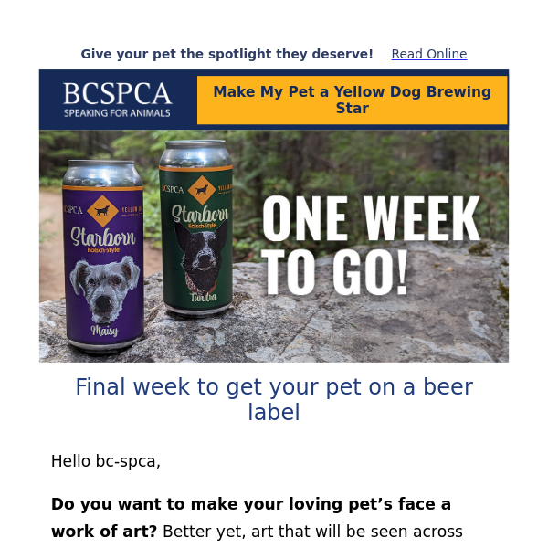 Final chance for BC SPCA beer label contest