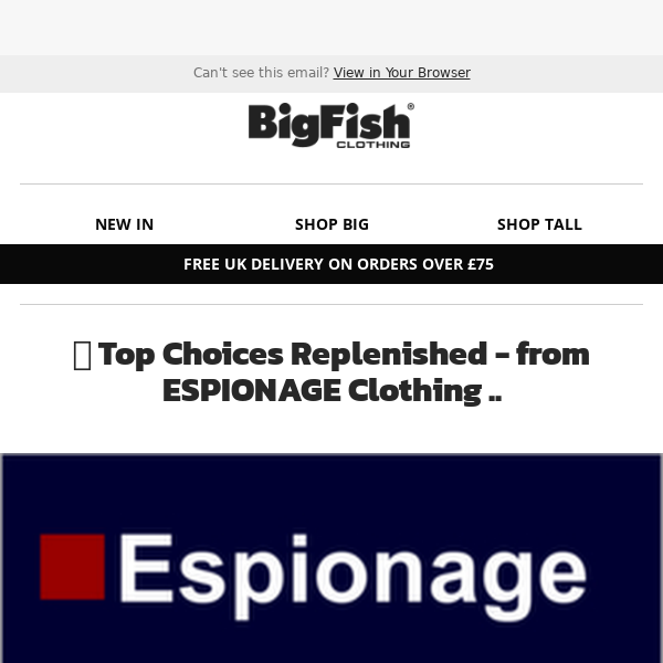 🎉 Top Choices Replenished - from ESPIONAGE Clothing ..