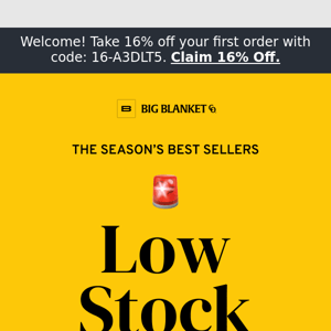 🚨 Low Stock Alert!
