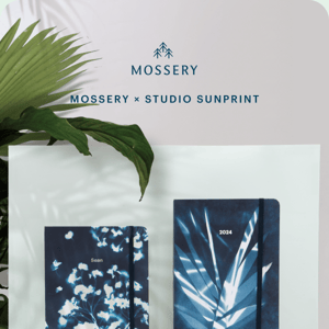 A Symphony of Nature: Mossery's Latest Covers ☀️☘️