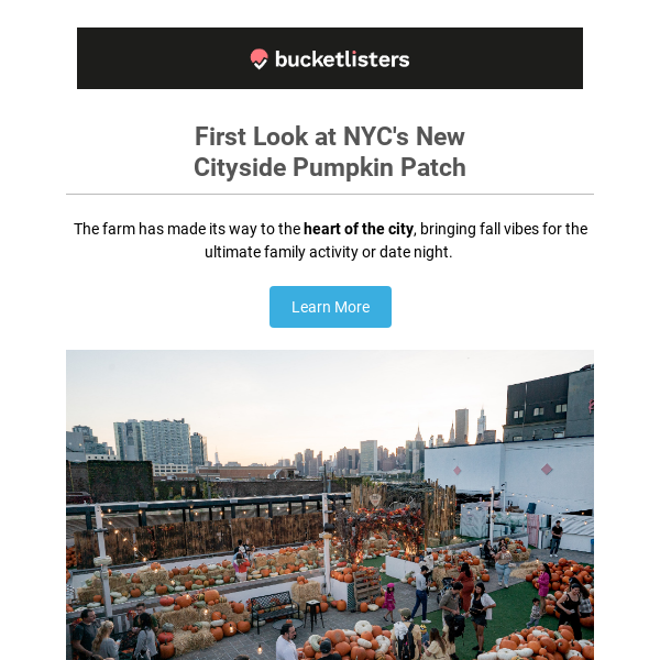 NYC's Largest Pumpkin Patch 🎃 First Look