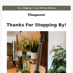 Shop guitars from the comfort of home