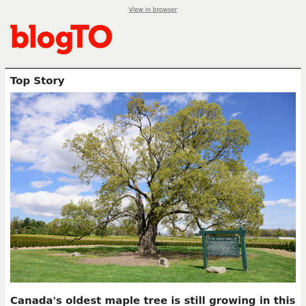 The latest from blogTO