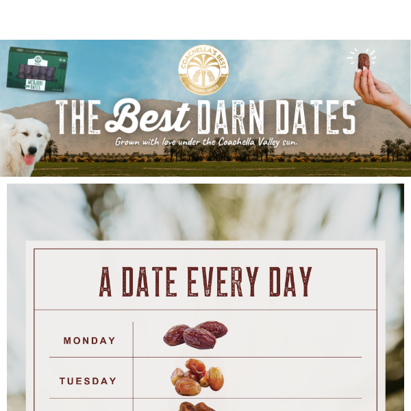 Why You Should Eat a Date Every Day✨
