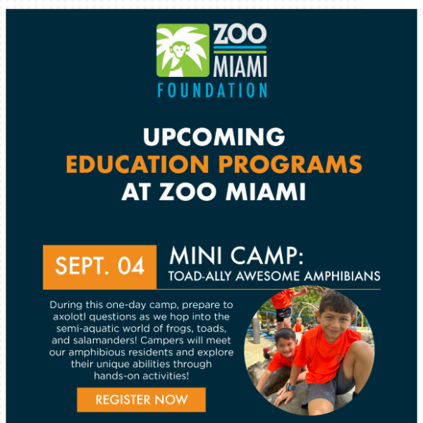 Explore upcoming programs at Zoo Miami