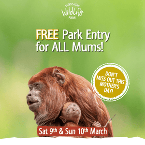 FREE entry for all Mums! 💐