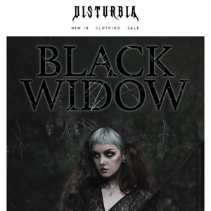 🕸️🕷️ Black Widow 🕷️🕸️