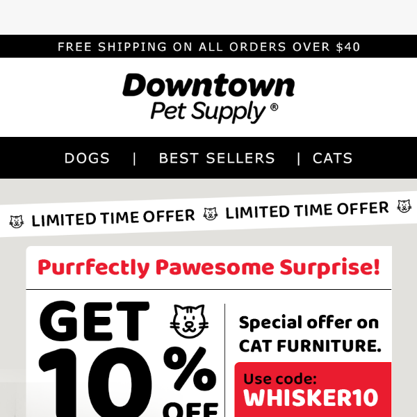 Cat Furniture Extravaganza: Get 10% Off Now!😻