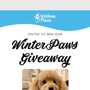 Enter to win our Winter Paws Giveaway 🐾