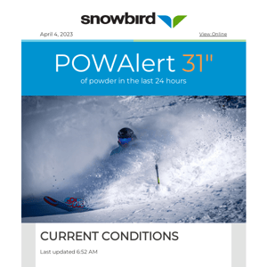 31" of New Snow at Snowbird!