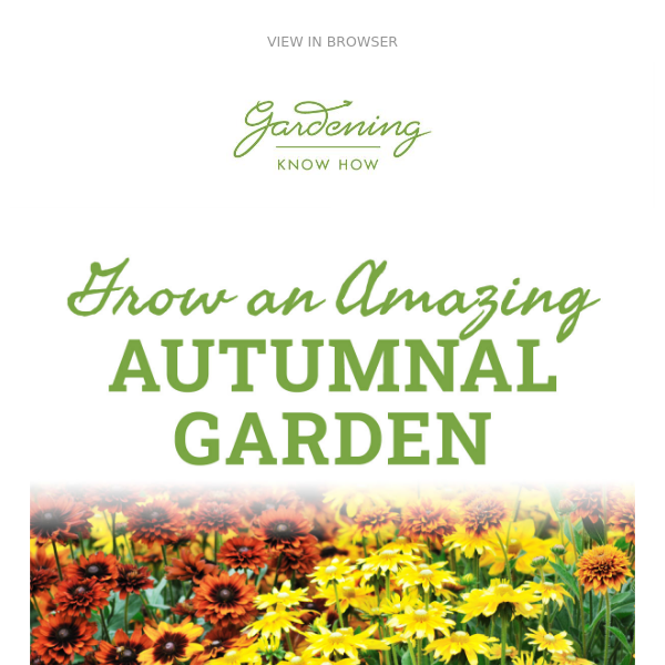 Grow A Fabulous Fall Garden + Lasagna Planting Bulbs + September To-Do List 