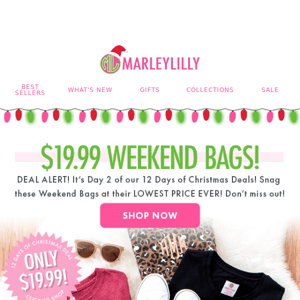 $19.99 Weekend Bags?! 🙌💕