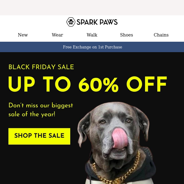 🚨 Black Friday Sale - Up to 60% OFF 🐶