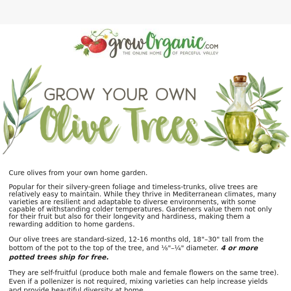 🌳 Olive Trees: Mix & Match for Up to 20% Off! - Grow Organic