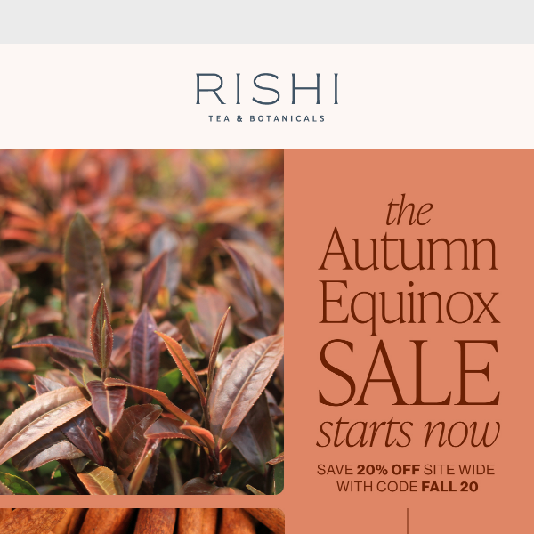 Welcome the Autumn Equinox
