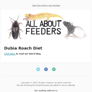 Dubia Roach Diet