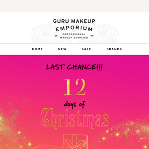 🎁Last Chance 12 Days Of Christmas Discounts & Free Gifts Galore🎄