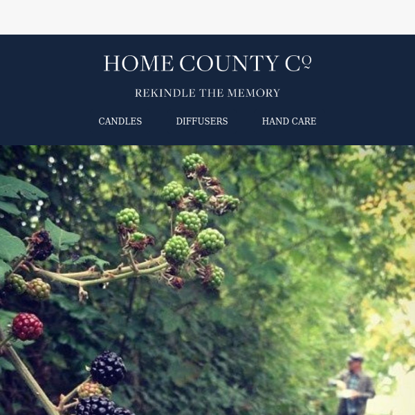 🍇 The County Chronicles: Rekindle Memories with Buckinghamshire Blackberries 🕯️