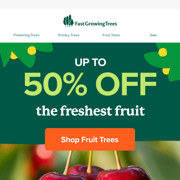 Up to 50% off our best fruit