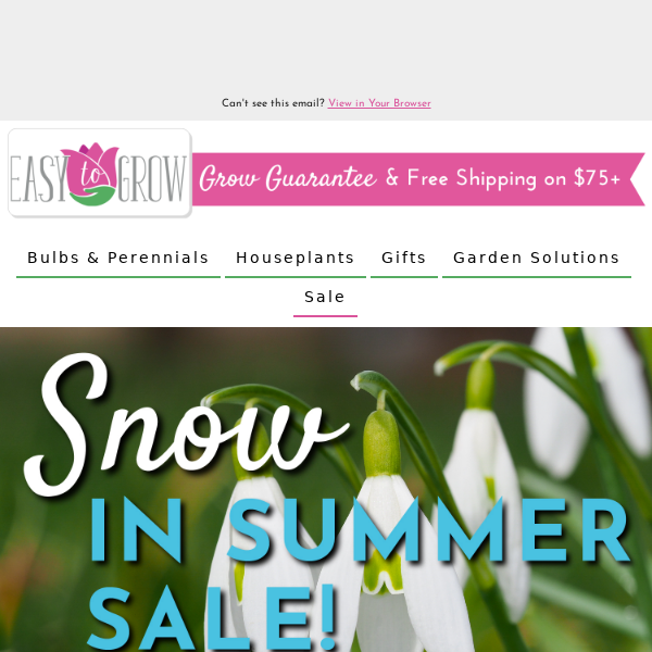 Snowdrop Sale ❄️ Buy One Get One FREE