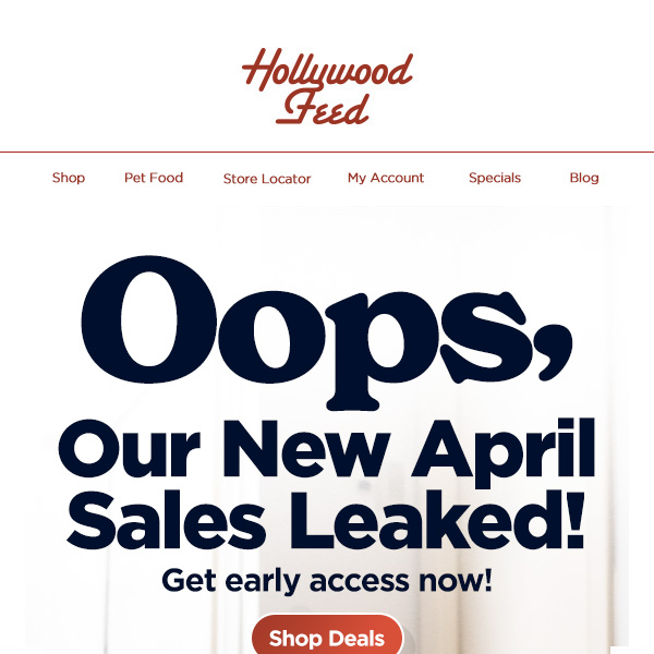 Oops! 😳 Our New April Sales Leaked...