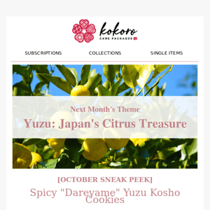 🌶️🍪[SNEAK PEEK]  SPICY “DAREYAME” YUZU KOSHO COOKIES