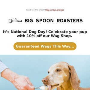 🐾 Celebrate National Dog Day with 10% Off our Wag Shop!