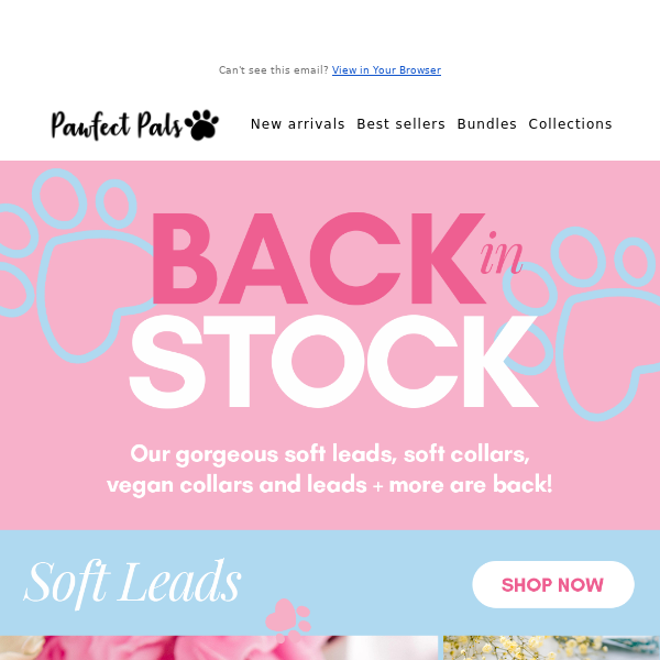 💝⚡ Your fur-baby's faves are back in stock! ⚡💝