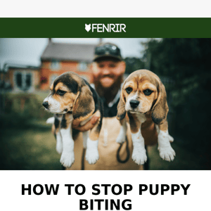 Train your dog to stop biting with our simple tips