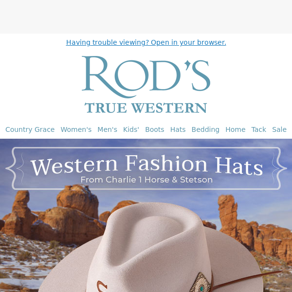 Timeless Stetson Cowboy Hats for Men & Women - Rod's Western Palace