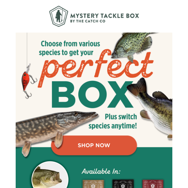 Your Offer Expires in 3 Days! - Mystery Tackle Box