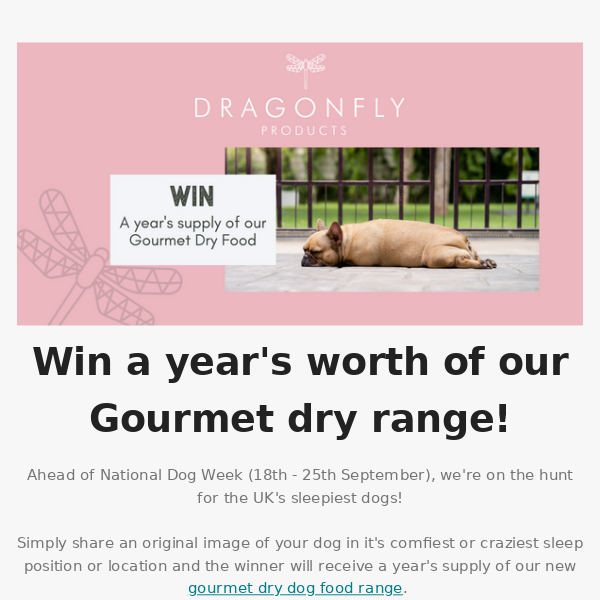 🐾 Want to WIN a year's FREE dog food? 🐾