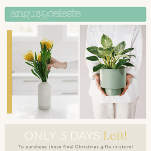ONLY 3 DAYS | To Shop In-store! ⏰🌿