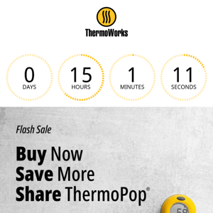 Flash Sale! $12.60 ThermoPop