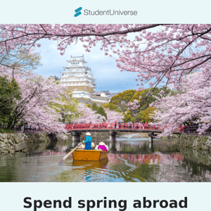 Go abroad from $314* roundtrip