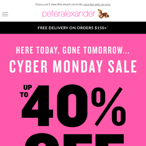 Here today, gone tomorrow. it's a Cyber Monday Sale!