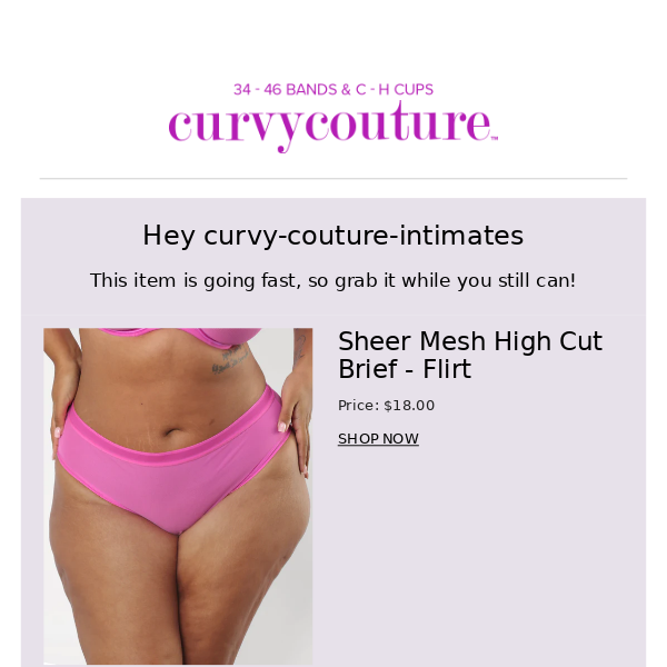 Sheer Mesh High Cut Thong - Flirt – Curvy Couture