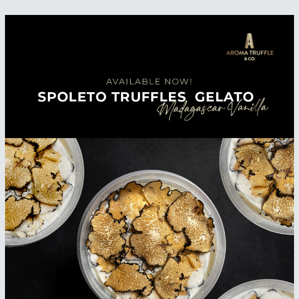 Available now: Spoleto Truffle Gelato! 🍨