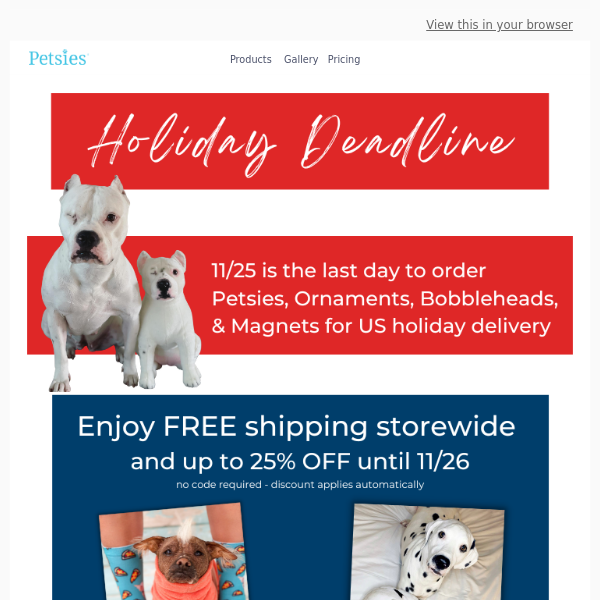 FREE Shipping storewide - holiday deadline is tomorrow!