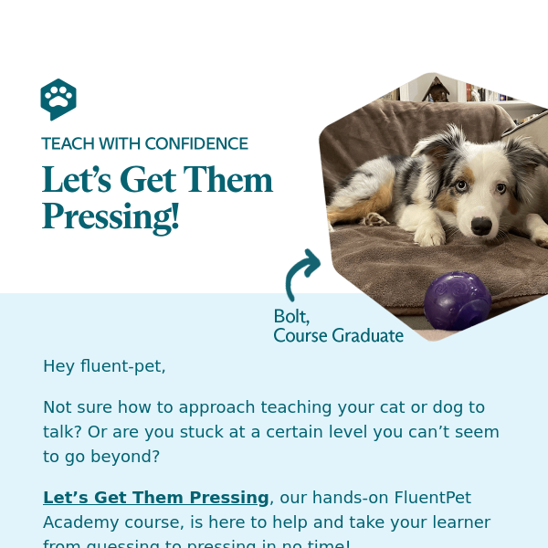 Are you confident when teaching Fluent Pet?