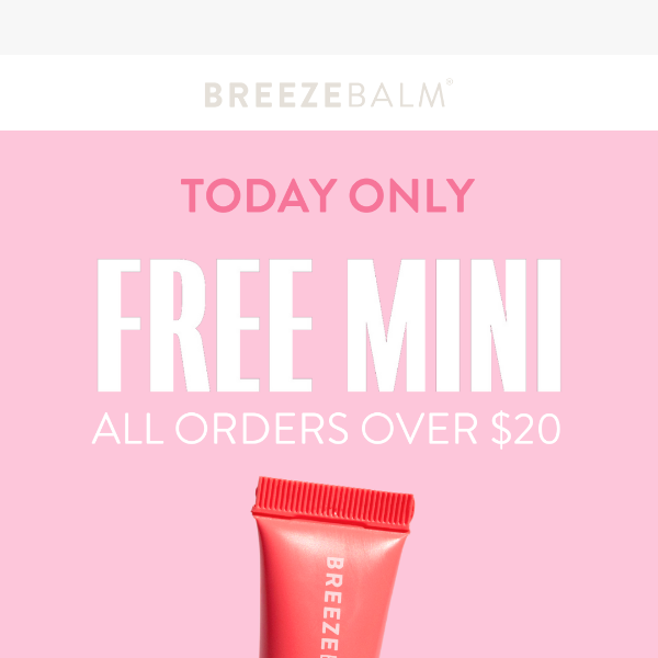 FREE MINI today only ✨