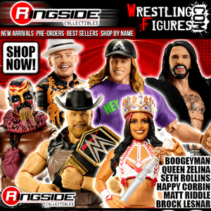 Shop Hot WWE Elite Figures! 🔥