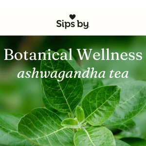 Botanical Wellness: Ashwagandha