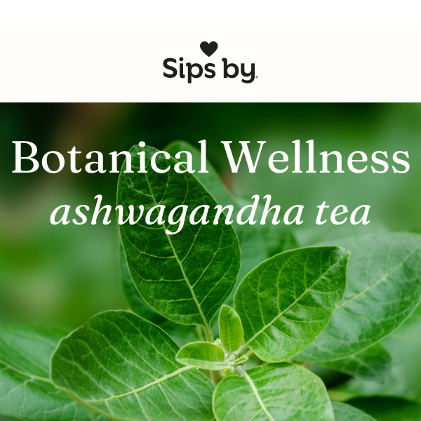 Botanical Wellness: Ashwagandha