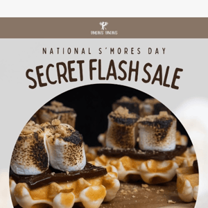 😉Did Someone Say Secret Flash Sale?