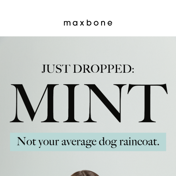 Introducing Mint