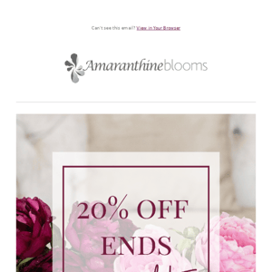 LAST CHANCE - 20% Off Everything