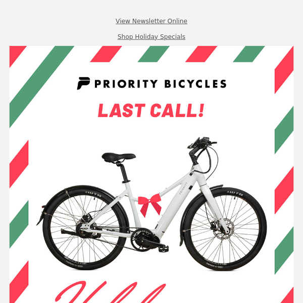 Last Chance for Expedited Shipping! 🚲 🌲