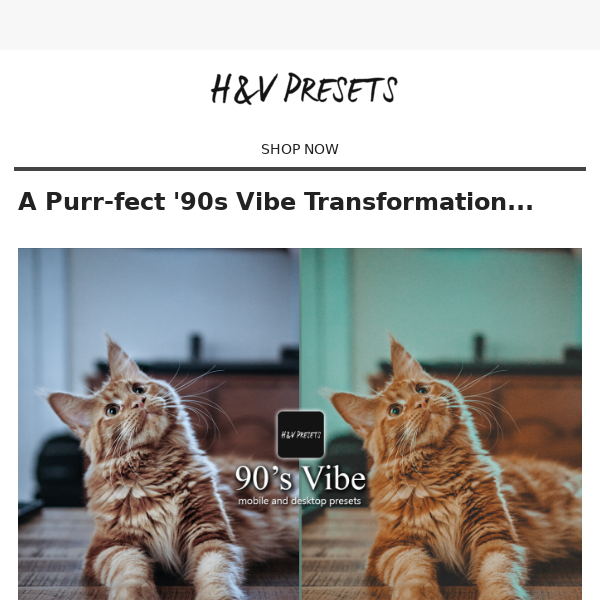 🐈 A purr-fect 90's vibe transformation