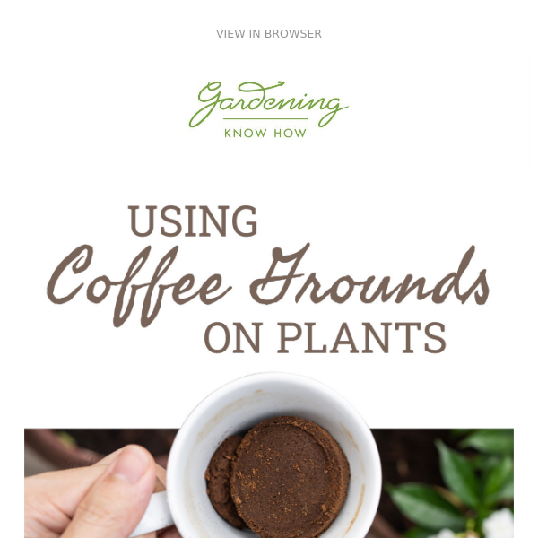 Using Coffee Grounds On Plants + Orchids 101 + Most Common Gardening Myths